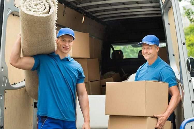 Profimöbelpacker Umzug Wien