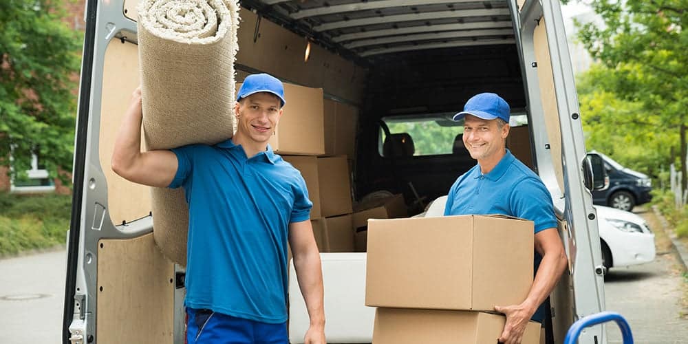 Profimöbelpacker Umzug Wien