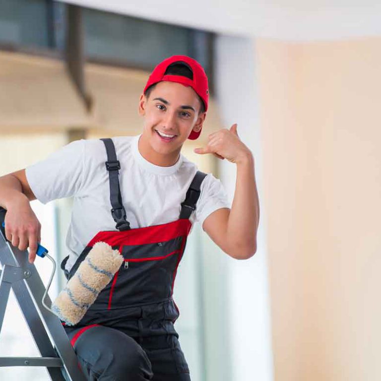 profimoebelpacker_malerarbeiten_wien_2